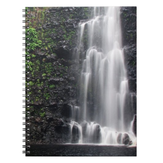 notitieboek "Anna's Pond" (Voorkant)