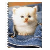 Notitieboek-Blue Jean Pocket Kitten Notitieboek (Voorkant)