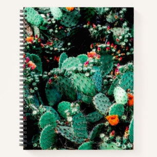 Notitieboek Cactus College