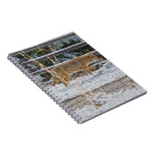 Notitieboek dat Coyote Wildlife steunt (Rechterzijde)