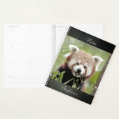Notitieboek Foto: rode panda, dieren 01. notitiebo (Display)