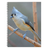 Notitieboek met getufte Titmouse (Voorkant)