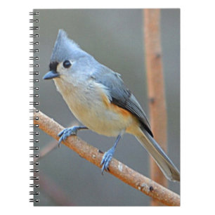 Notitieboek met getufte Titmouse