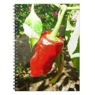 Notitieboek met rode capsicum
