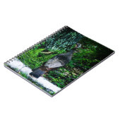 Notitieboek Moeder-Turkije (Linkerzijde)