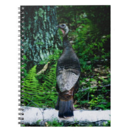 Notitieboek Moeder-Turkije