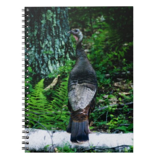 Notitieboek Moeder-Turkije (Voorkant)