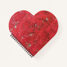 Notitieboek Oranje vallederen