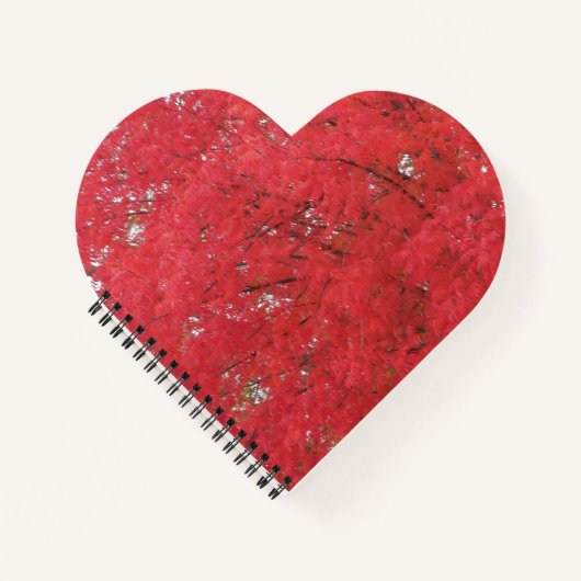 Notitieboek Oranje vallederen (Voorkant)