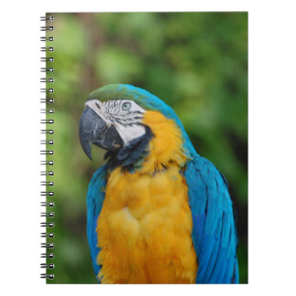 notitieboek _ papegaai