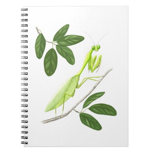 Notitieboek Praying Mantis (Voorkant)