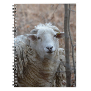 Notitieboek schapen