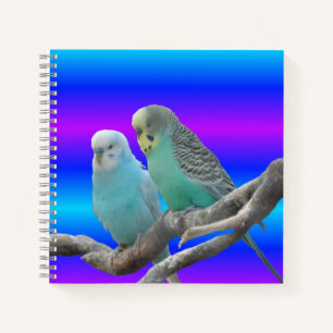 Notitieboek twee cute boedgerigar Birds