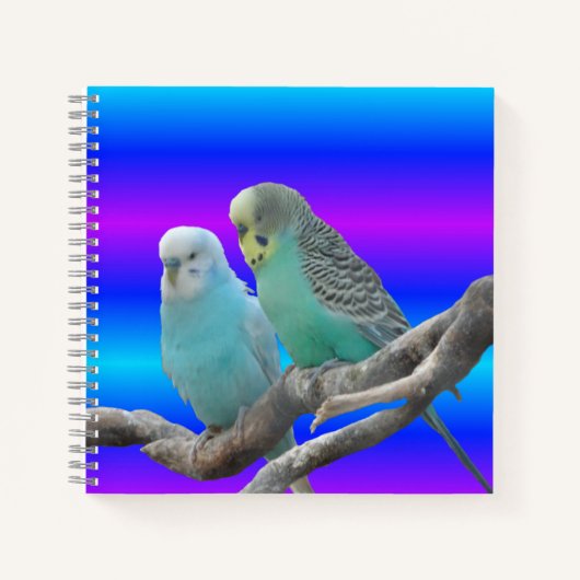 Notitieboek twee cute boedgerigar Birds (Voorkant)