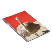 Notitieboek van de struisvogel (Rechterzijde)