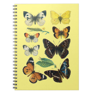 Notitieboek van de vlinder
