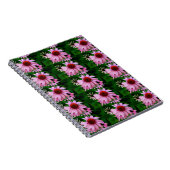 notitieboek van echinacea (Rechterzijde)