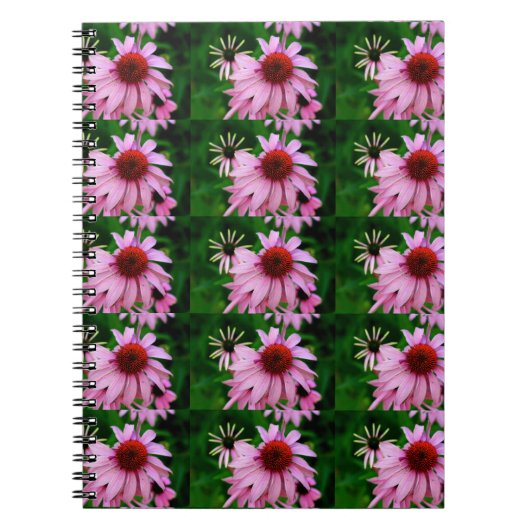 notitieboek van echinacea (Voorkant)