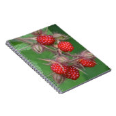 Notitieboek van frambozen (Rechterzijde)
