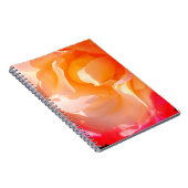 Notitieboek van gebroken Roos (Rechterzijde)