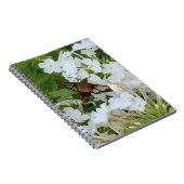 Notitieboek van kalkoenen (Rechterzijde)