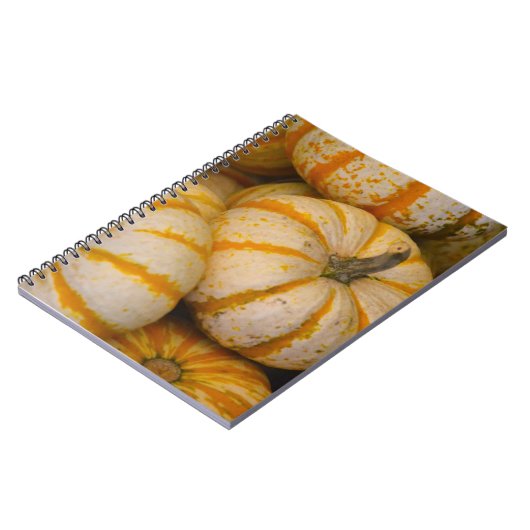 Notitieboek van pompoen (Linkerzijde)