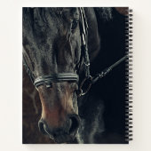 Notitieboek van prachtige paarden (Achterkant)