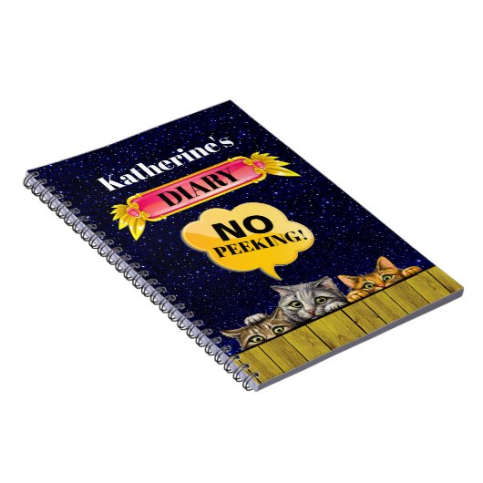 Notitieboek voor pekelkatten (Rechterzijde)
