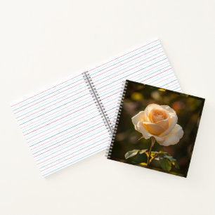 Notitieboeken & Journals