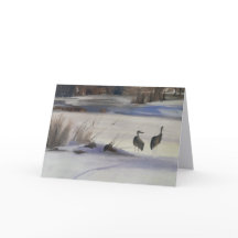 Notitiekaart van Sandhill Kraanvogels, Steamboat S