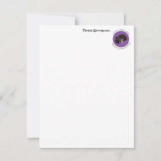 Notitiekaarten met Peter Rottentail (Achterkant)