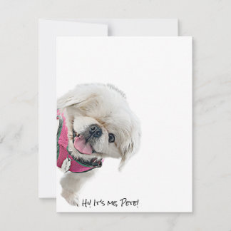 Notitiekaarten met Peter Rottentail