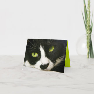 Notitiekaartje Kaart