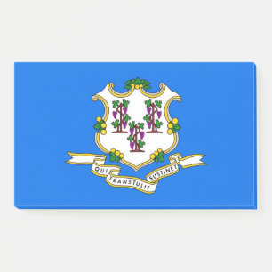 Notities met vlag van Connecticut, Verenigde State Post-it® Notes