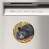 Notre aimant de l'espoir (In Situ (Lave-vaisselle))