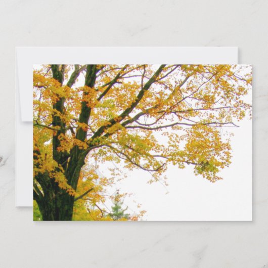 Notre arbre à l'automne Faire-part de mariage phot (Dos)