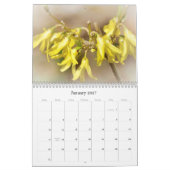 Notre beau calendrier mondial #6 (Jan 2027)