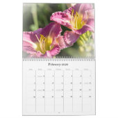 Notre beau calendrier mondial #6 (Feb 2026)