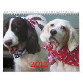 Notre calendrier 2012 de paquet (Protection)