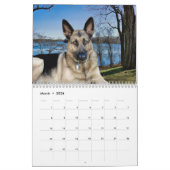 Notre Calendrier Animaux, Chiens à leur meilleur (Mar 2026)