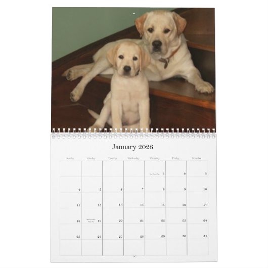 Notre calendrier des meilleurs amis 2009 (Jan 2026)