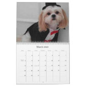 Notre calendrier des meilleurs amis 2009 (Mar 2026)