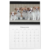 Notre calendrier des meilleurs amis 2009 (Feb 2026)