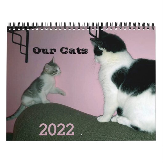 Notre Calendrier Personnalisé Cats 2022 (Protection)