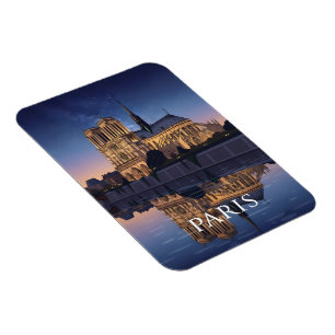 Notre Dame Cathedra Paris Frankrijk Magneet