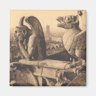 Notre Dame Gargoyle Magneet