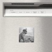 Notre Dame Gargoyle Magnet Magneet (Insitu (Vaatwasser))
