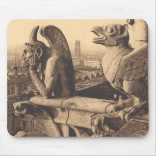Notre Dame Gargoyle Muismat
