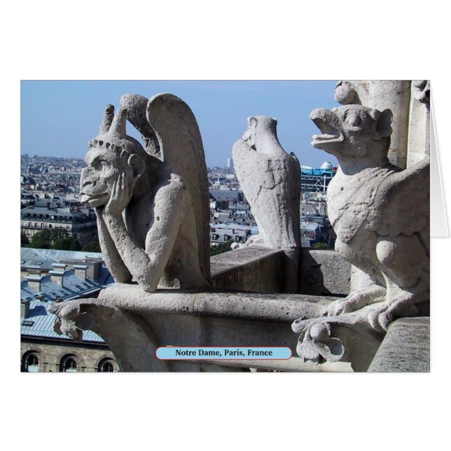 Notre Dame, Parijs, Frankrijk (Voorkant Horizontaal)