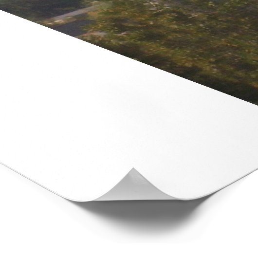 Notre Dame Poster (Hoek)